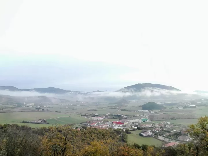 autoescola pallars tarrega