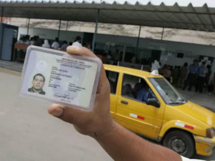 carnet de conducir curriculum