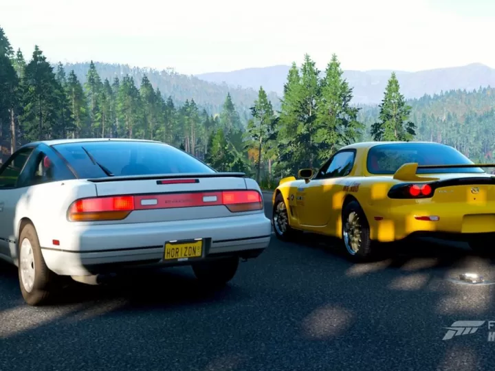 forza 300
